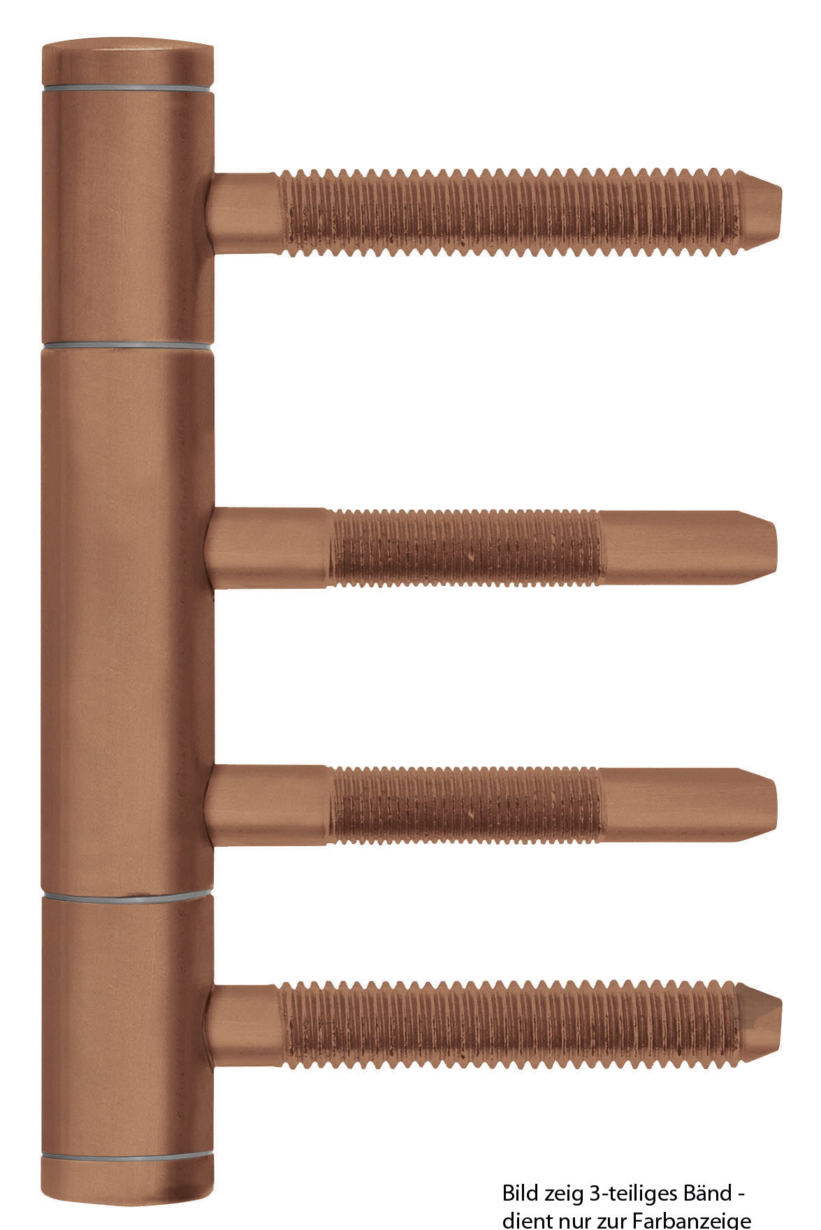 formspiele® Türbänder 2-teilig für Holztüren